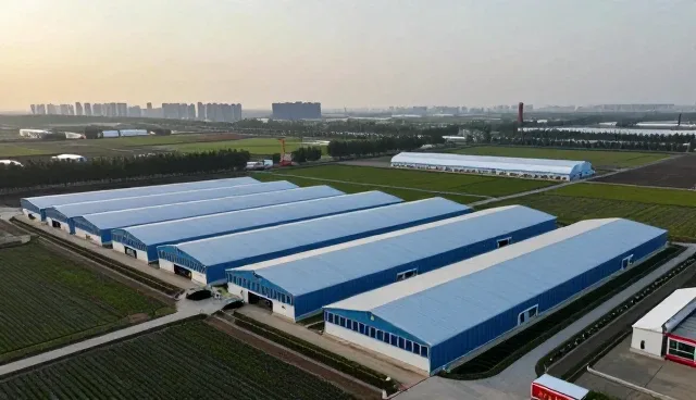 数字化发展中产品设计选型的关键考量